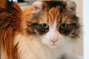 f0054677_851094.jpg