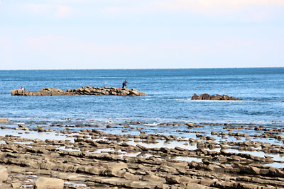 c0152779_14125869.jpg