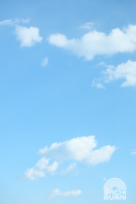 c0073387_1345727.jpg