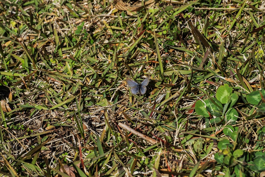 b0194593_1516161.jpg