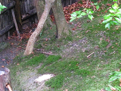 f0181394_2050389.jpg