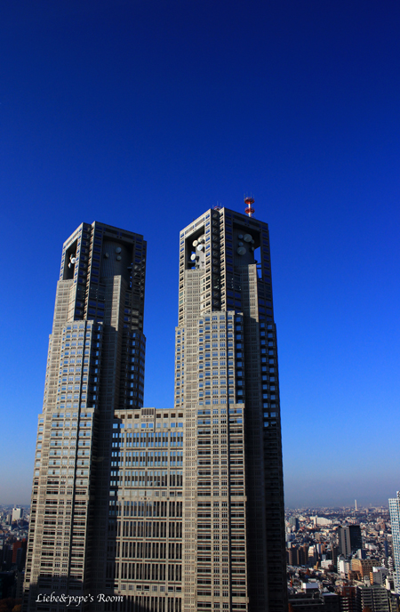 f0001895_1526118.jpg