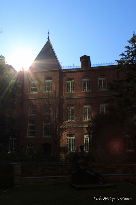 f0001895_15323552.jpg