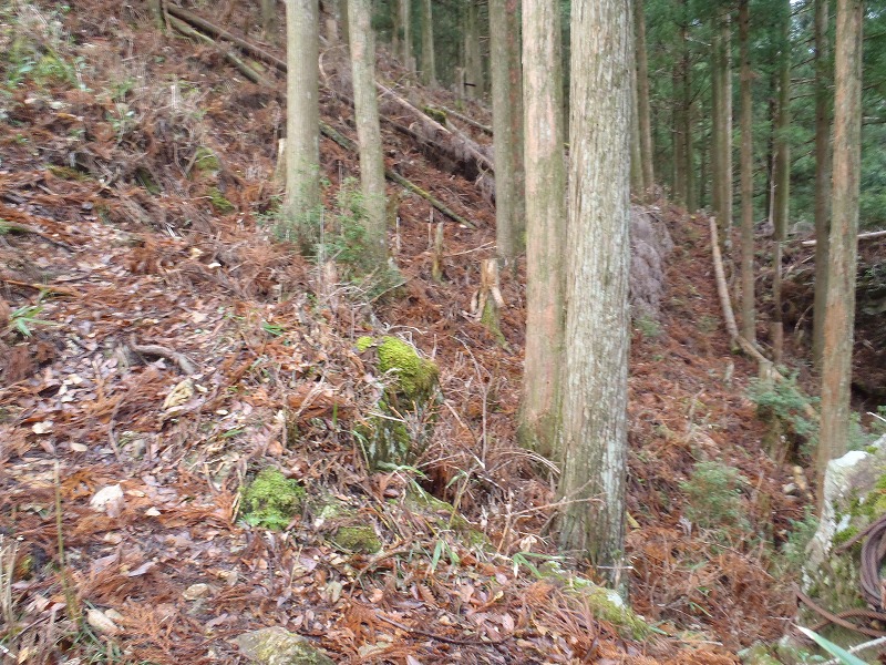 c0147398_20543930.jpg
