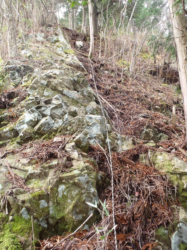 c0147398_20544774.jpg