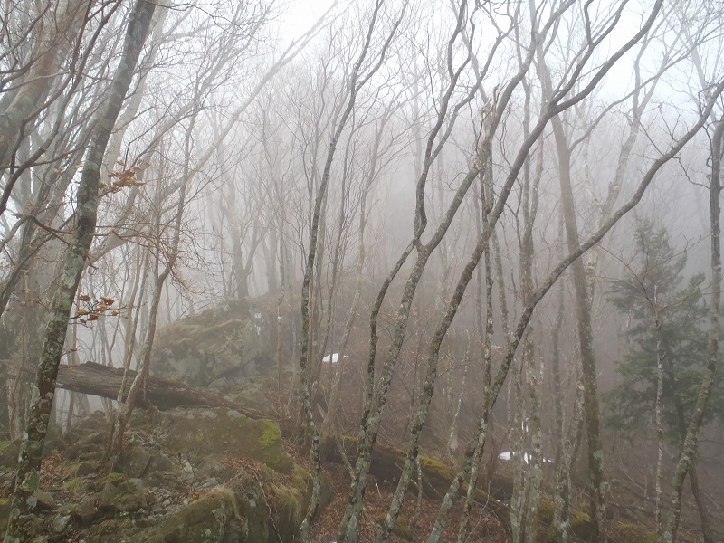 c0147398_20551446.jpg