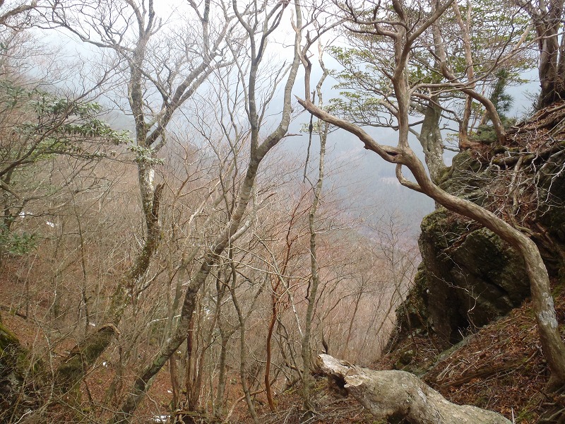 c0147398_2055427.jpg