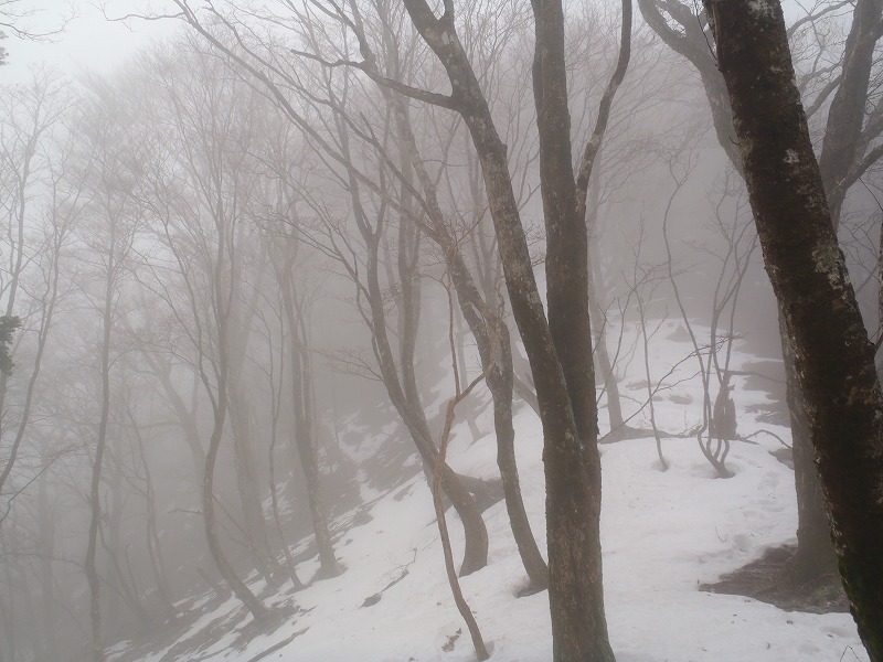 c0147398_2056429.jpg
