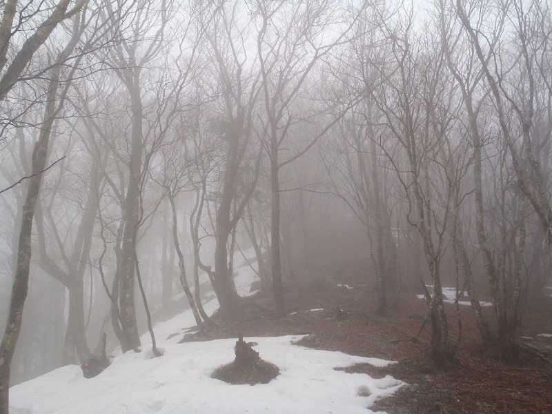 c0147398_20565143.jpg