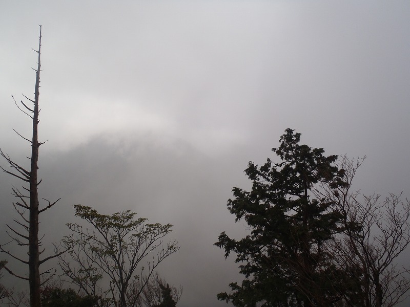 c0147398_20565842.jpg