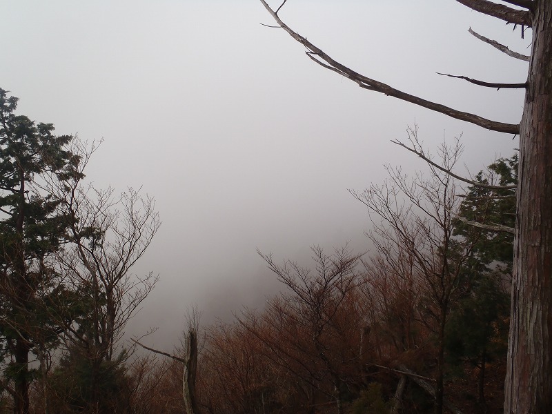 c0147398_2057767.jpg