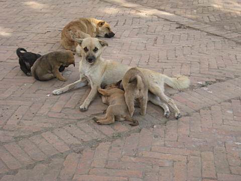 d0046702_17325742.jpg