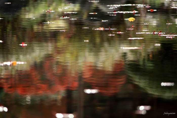 f0185802_2315022.jpg