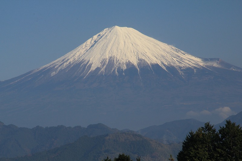 a0188405_936511.jpg