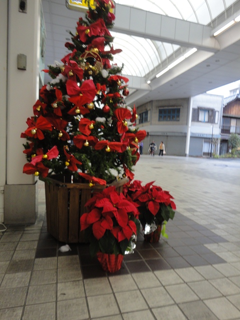 f0231709_23351112.jpg