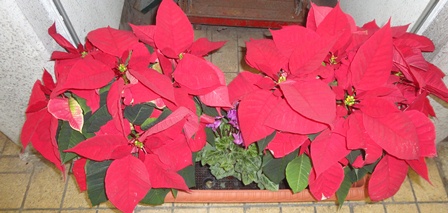 f0231709_23355934.jpg