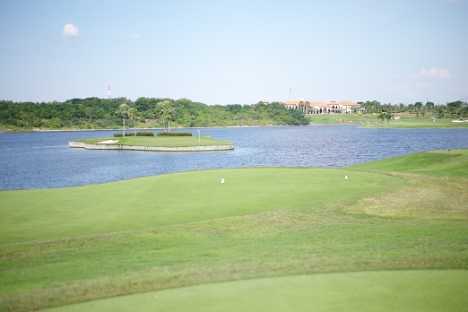 e0046212_1521717.jpg