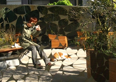 c0084117_21185495.jpg