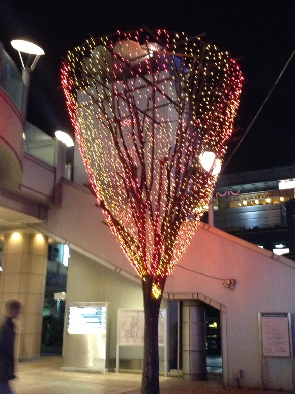 b0203925_19493924.jpg