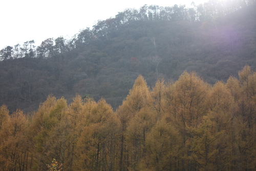 a0214329_9123812.jpg