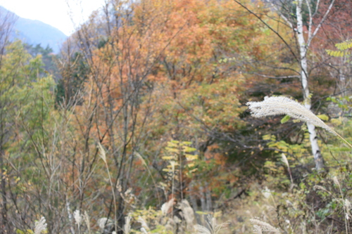 a0214329_9142343.jpg
