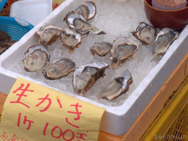 c0133533_1111251.jpg
