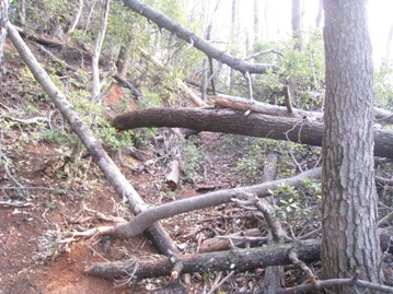 c0077338_722917.jpg