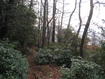 c0077338_724972.jpg