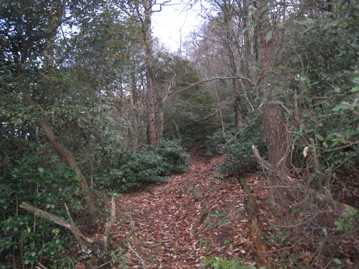 c0077338_734190.jpg