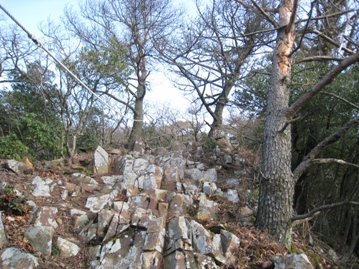 c0077338_73599.jpg