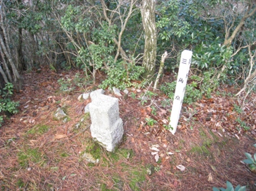 c0077338_752124.jpg