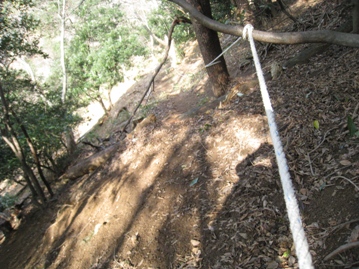 c0077338_754293.jpg