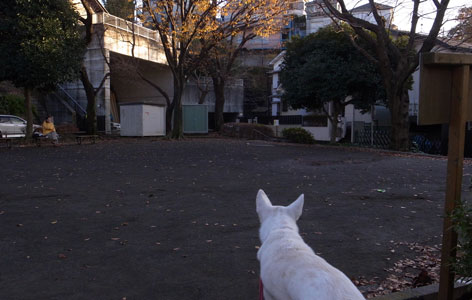 a0117039_0112041.jpg