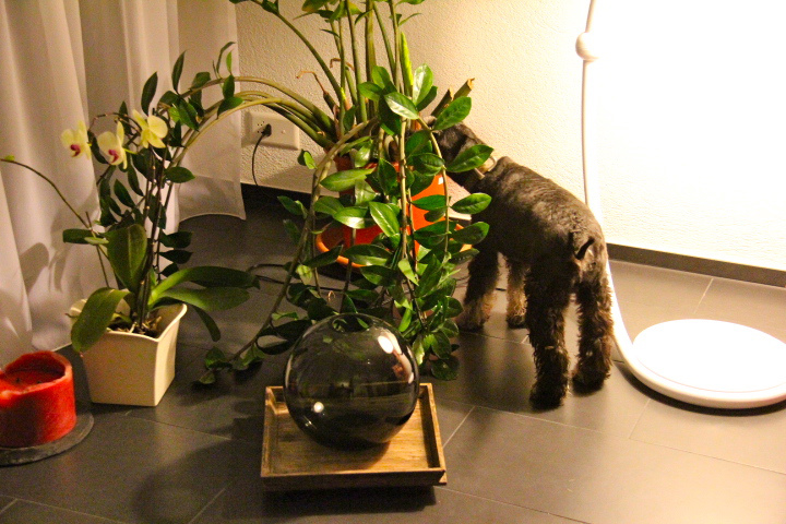 c0153740_047966.jpg