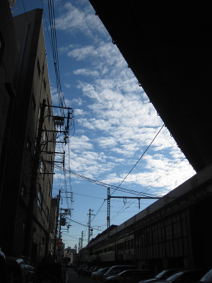 f0141840_185544.jpg