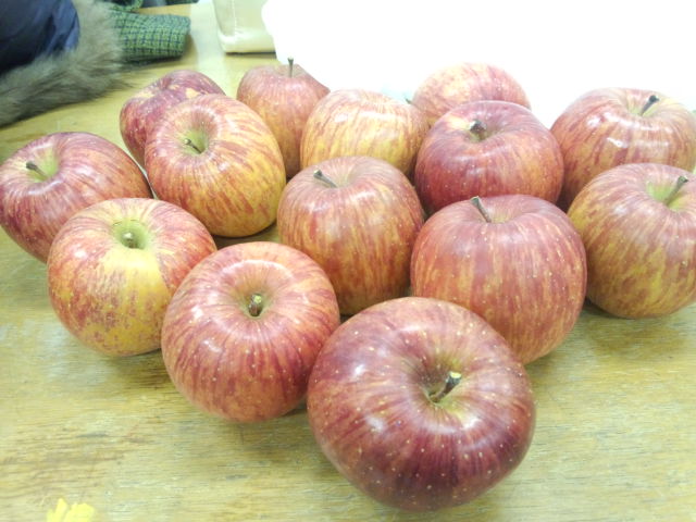 d0002143_06911.jpg