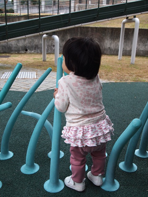 d0162544_1091132.jpg