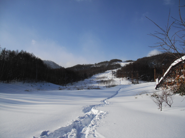 f0232845_18272391.jpg