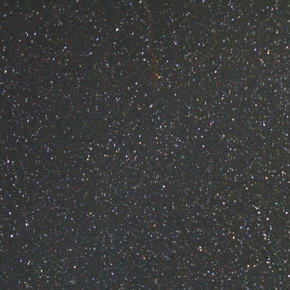 e0122855_2391246.jpg