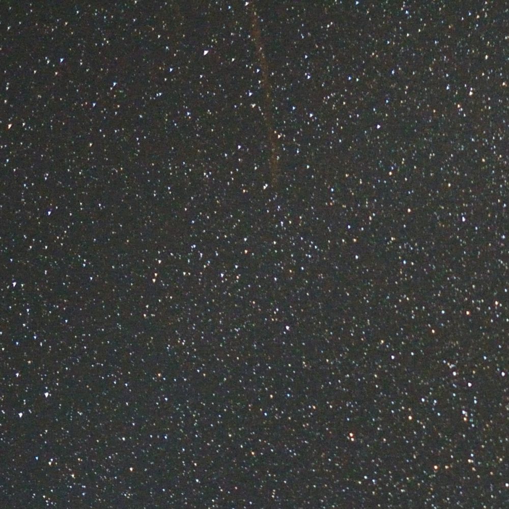 e0122855_239189.jpg