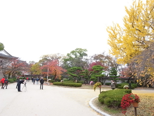 c0223257_15382037.jpg
