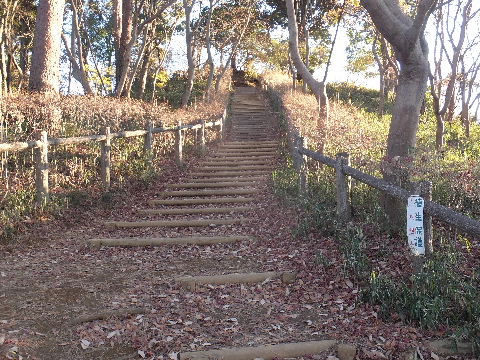 e0088260_11435883.jpg