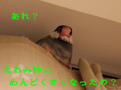 b0158061_22113831.jpg