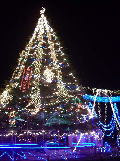 e0240973_21211930.jpg