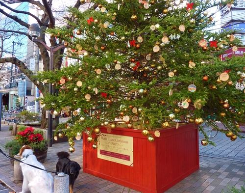 e0207477_14535337.jpg