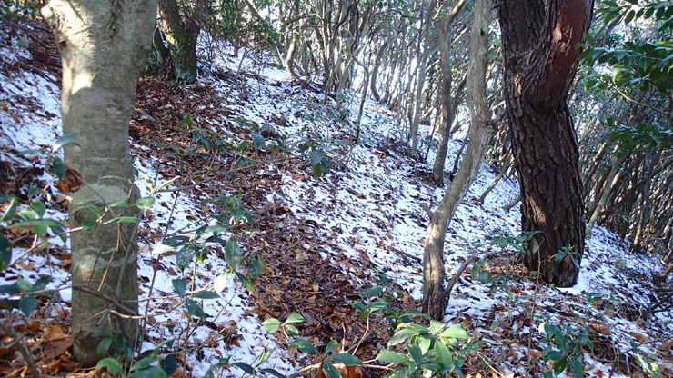 e0024081_19454785.jpg