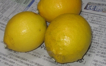 f0003283_19353120.jpg
