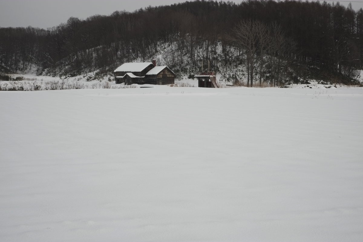 e0051186_20402212.jpg
