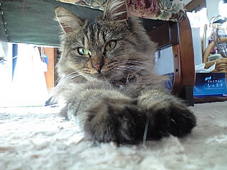 c0035001_1562599.jpg
