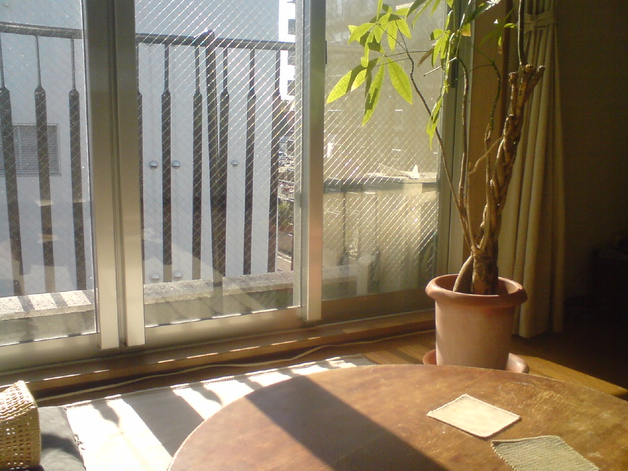 c0202101_082227.jpg